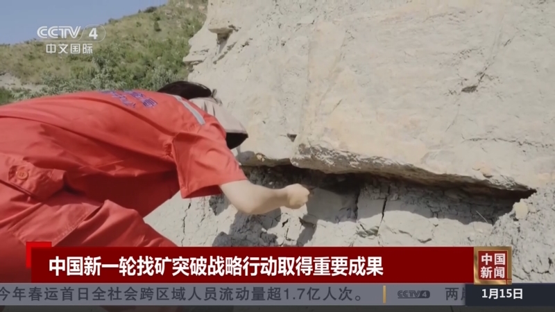 入了新的活