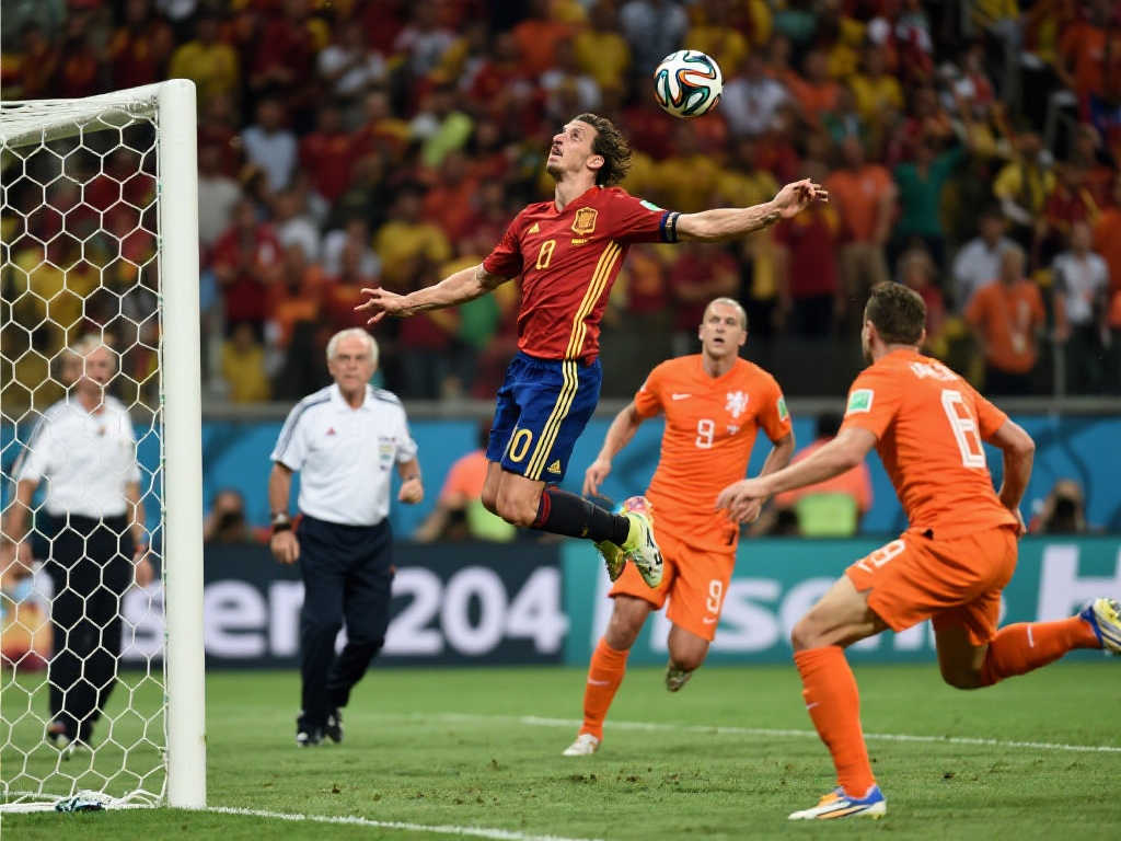 在各项赛事 在各项赛事