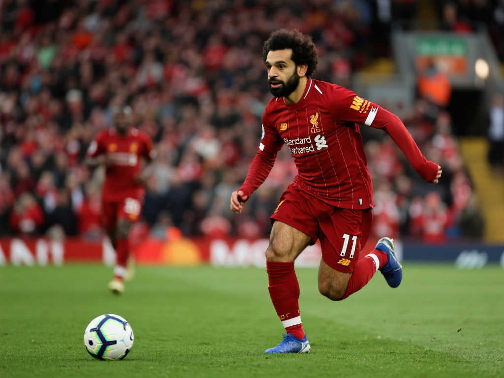 也能看到希 也能看到希